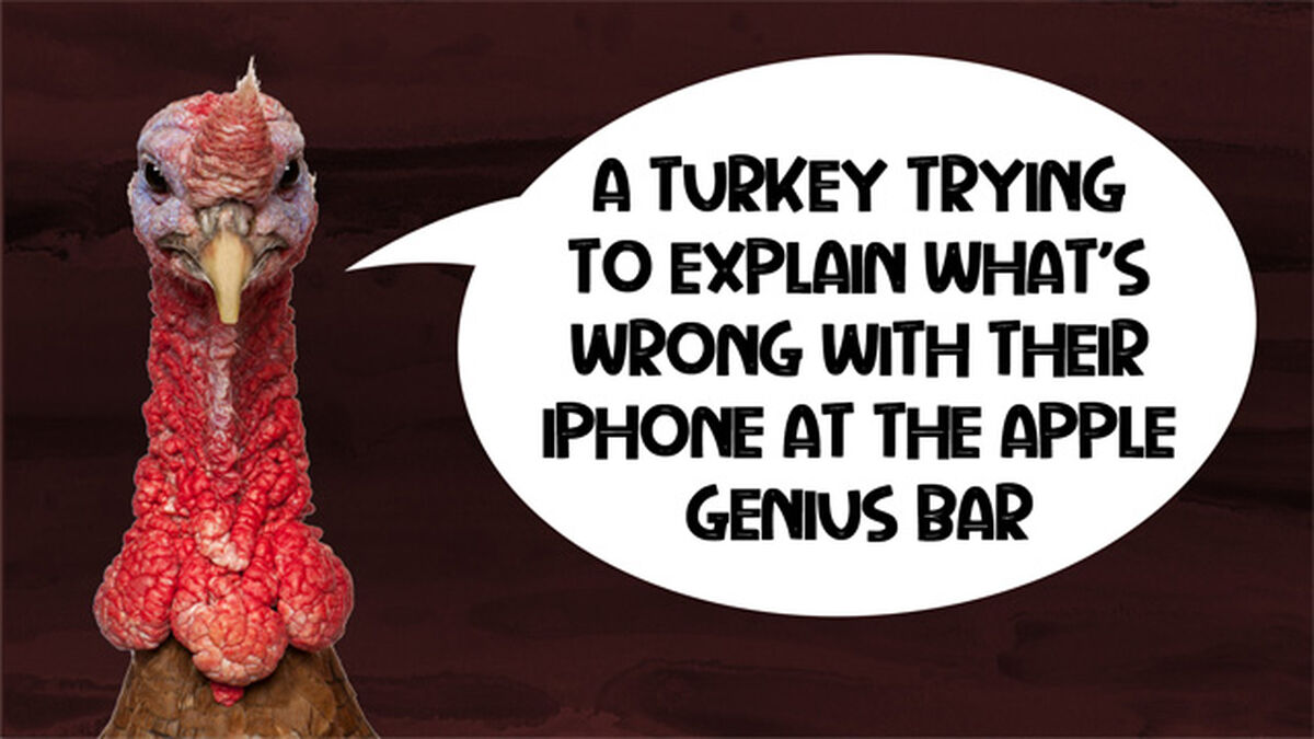 Talking Turkey image number null